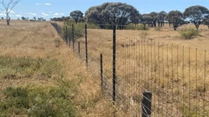 Significant 42,971 acre grazing property Glenthomson has hit the market