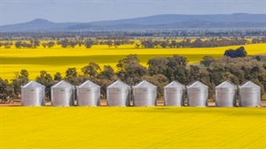 Will your region be part of the biofuel boom? Experts highlight hot spots