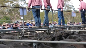 Corporate watchdog sets new date for Elders-Delta monopoly decision