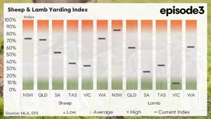 Spring has sprung, so where are the lambs? Supply tight despite recovery signs