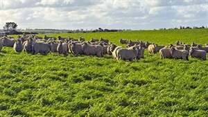 End of an era as Dalveen East sells after 171 years of family ownership