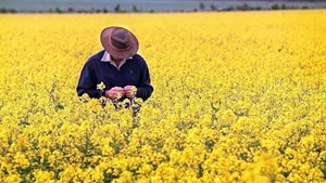 Finally a tariff triumph as UAE deal delivers export boost for farmers