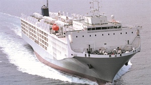 Wellard's loyal Holmes à Court family quits shares as live-ex compo case drags on