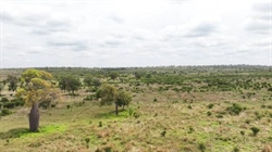 Labor kicks off $250m plan to snap up private rural land for conservation