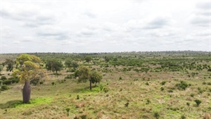 Labor kicks off $250m plan to snap up private rural land for conservation