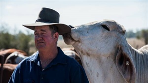 Cattle can't be the climate change scapegoat: world's producers join forces