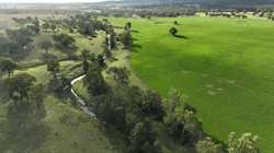 Post-auction negotiations continue on north west property Rivendell | Video