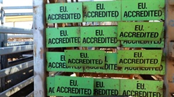 Test run on EU deforestation rules: here's how our cattle properties fared