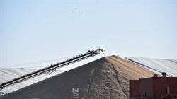 Harvest receival records shattered as bulk handlers take millions of tonnes