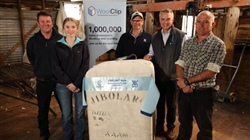 One million bales and beyond: traceability reforms roll through sector