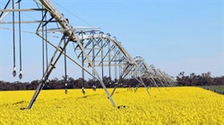 Local buyer secures prized Coonamble farms after failed US $780m bid