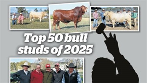 Revealed: the bull studs that made the Australian top 50 in the 2025 season