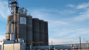 GrainCorp quits loss-making storage and logistics division after tough seasons