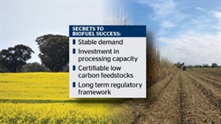 Why Australia's biofuel boom won't deliver farmer premiums in current form