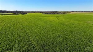 Rural property market on fire with The Oaks making a record $53m | Video