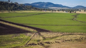 Premium Liverpool Plains property offers versatile farming, grazing | Video