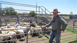 Fattening 2000 lambs a year: the $500k bet one trader put on infrastructure