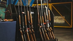 New gun laws on the way after firearm reforms clear both houses in one day