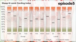 Slow start to the year for lamb supply as yardings shrink in all states