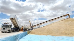 Beyond the glut: GrainCorp's profit woes go deeper than global grain prices