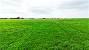 Recent SA cropping land sales show what buyers are still looking for