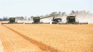 Premier dryland cropping aggregation across 6104 productive acres | Photos