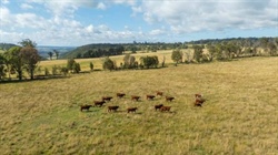 Eastern escarpment country with potential for increased productivity