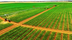 Here's a chance to capitalise on onion giant's irrigation spend-up