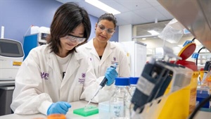 Chemical-free backline spray could be the next big weapon against flystrike