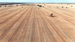Large cropping farm in heart of the Mallee passed in for just under $3m