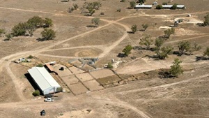 Country ideally suited as an expanded sheep, cattle enterprise | Photos