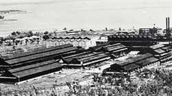 Link to Vestey's beef empire with sale of Top End irrigation block