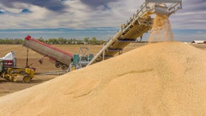 'We've seen it all before': sluggish global market can't last says GrainCorp