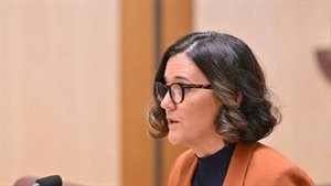 No spirit of Australia in Qantas closures, report finds