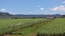 Outstanding irrigation farm with excellent water heads to auction | Video