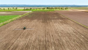 Vita-Nova offers 432 acres of prime land with irrigation, piggery | Video