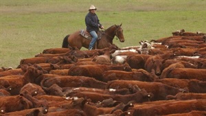 Four pillars that will define and reset Australian farming's next growth phase