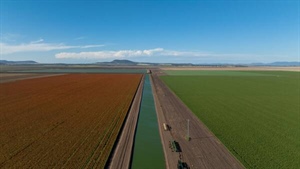 Three vendors combine to present large scale $75 million-plus aggregation