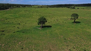 Top quality Maranoa cattle country with future gas and gravel potential