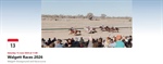 Walgett Races