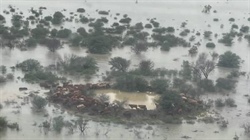 AACo tips $18m cattle and property costs after NW Qld's January floods