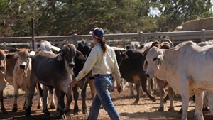 Analysing the China quota factor: what it means for future beef exports