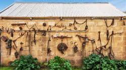 Harness racing royalty are passing the reins as pioneer's treasure sold