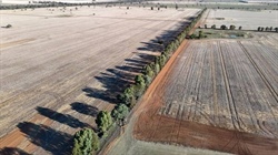 Canadian-owned Altora Ag to offload prime NSW farming country