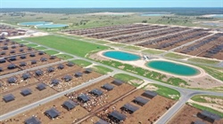 Big announcement in sale of major Mort & Co lot feeding business