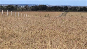 Multi-title Maranoa property with lifestyle potential heads to auction