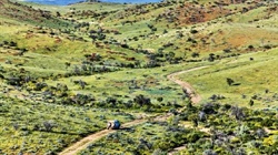 Record rain transforms Flinders Ranges station into green oasis for buyers