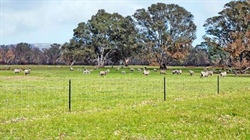 Fire-hit Dadswells Bridge farm block founds a buyer in post-blaze sale