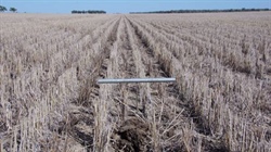 Prime north west mixed farming property sold under the hammer