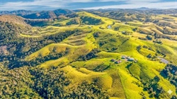 Largest single holding in tightly held Dalrymple Heights district for sale